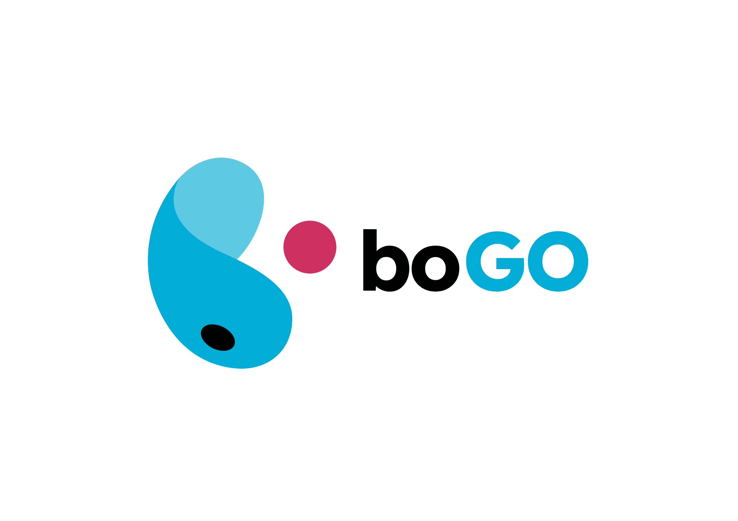 boGO Logo